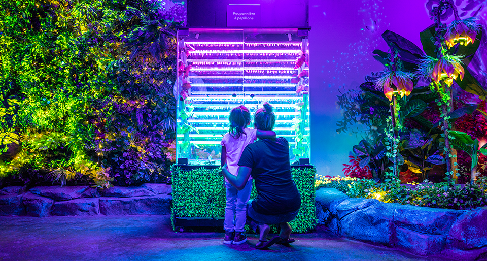 Expérience BFLY Bfly