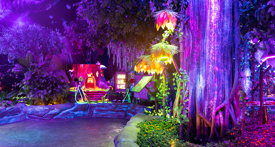 Bfly experience Bfly