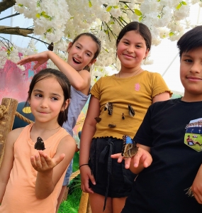 4 enfants avec papillons volière Bfly