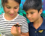 groupes scolaires éducatif